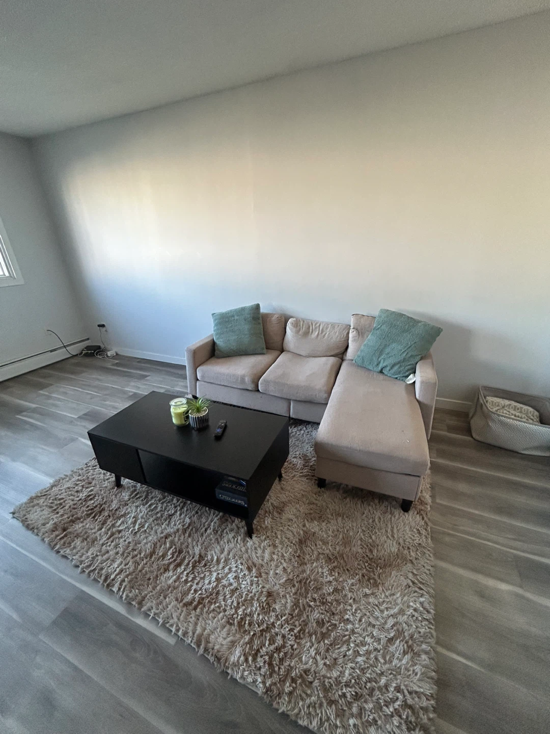 Furniture and home appliances