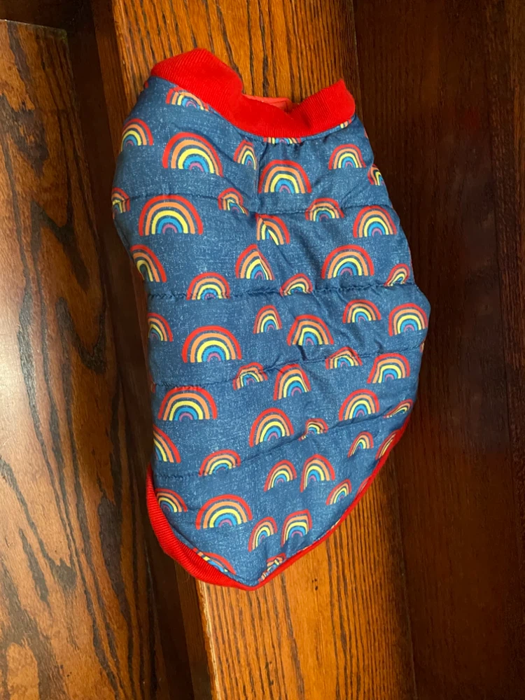 Rainbow Print Dog Coat