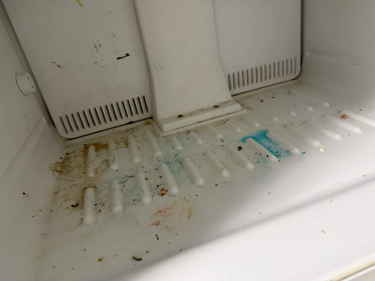 Cleaning services - photo 4