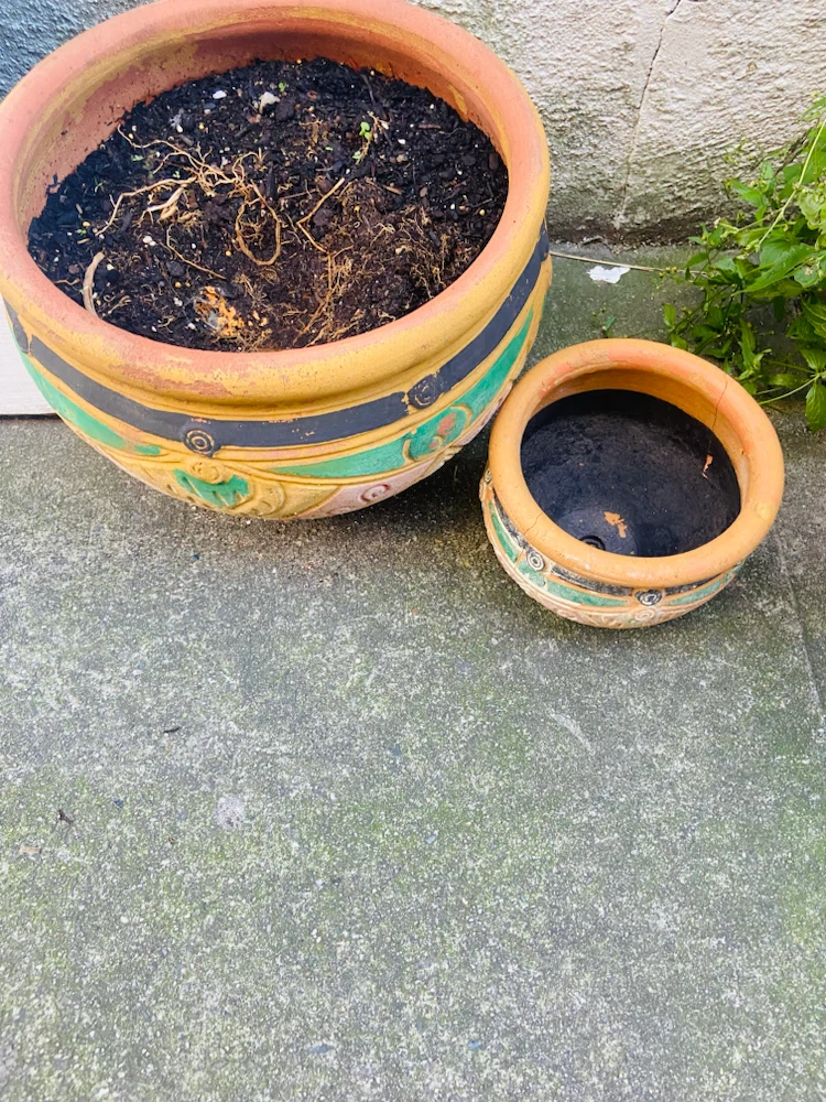 Set of Two Decorative Terracotta Planters