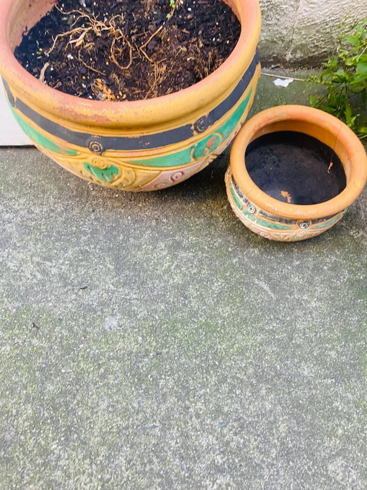 Set of Two Decorative Terracotta Planters - photo 2