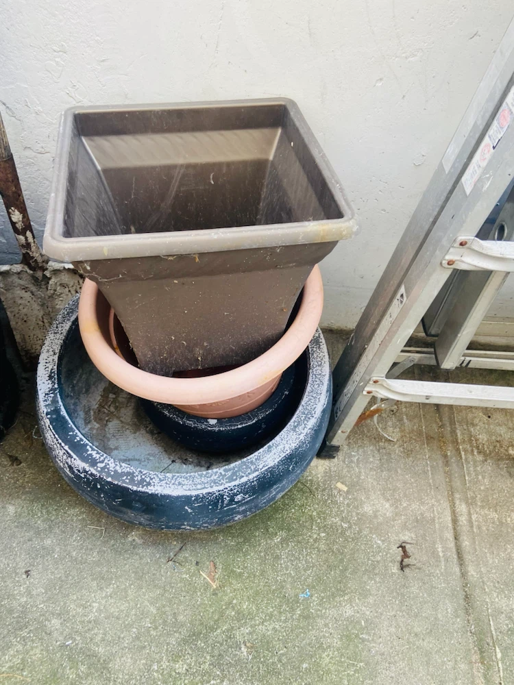 Set of 3 Assorted Garden Planters