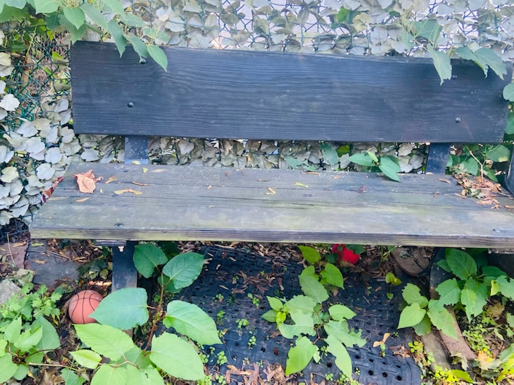 Outdoor Wooden Garden Bench