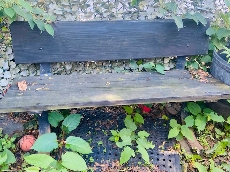 Outdoor Wooden Garden Bench - photo 3