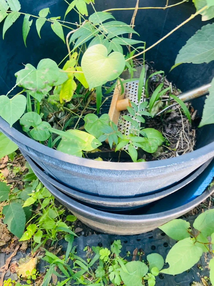 Set of Two Large Plastic Planters - photo 2