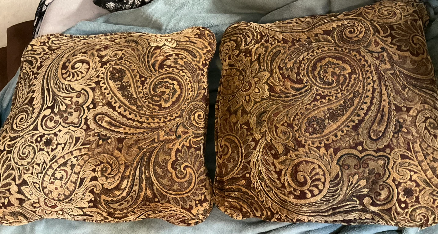 Two Paisley Pattern Throw Pillows