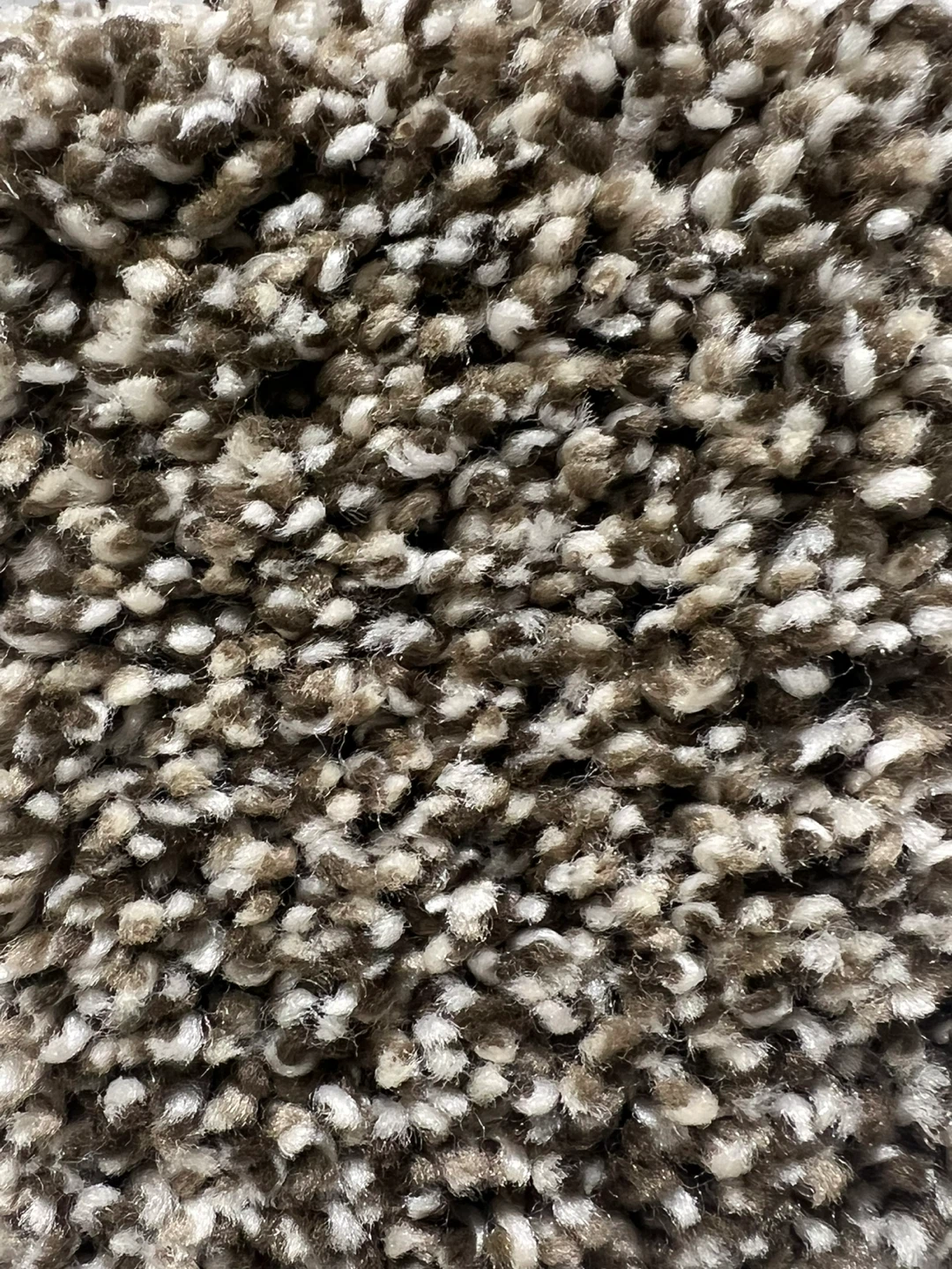 Carpet for sale