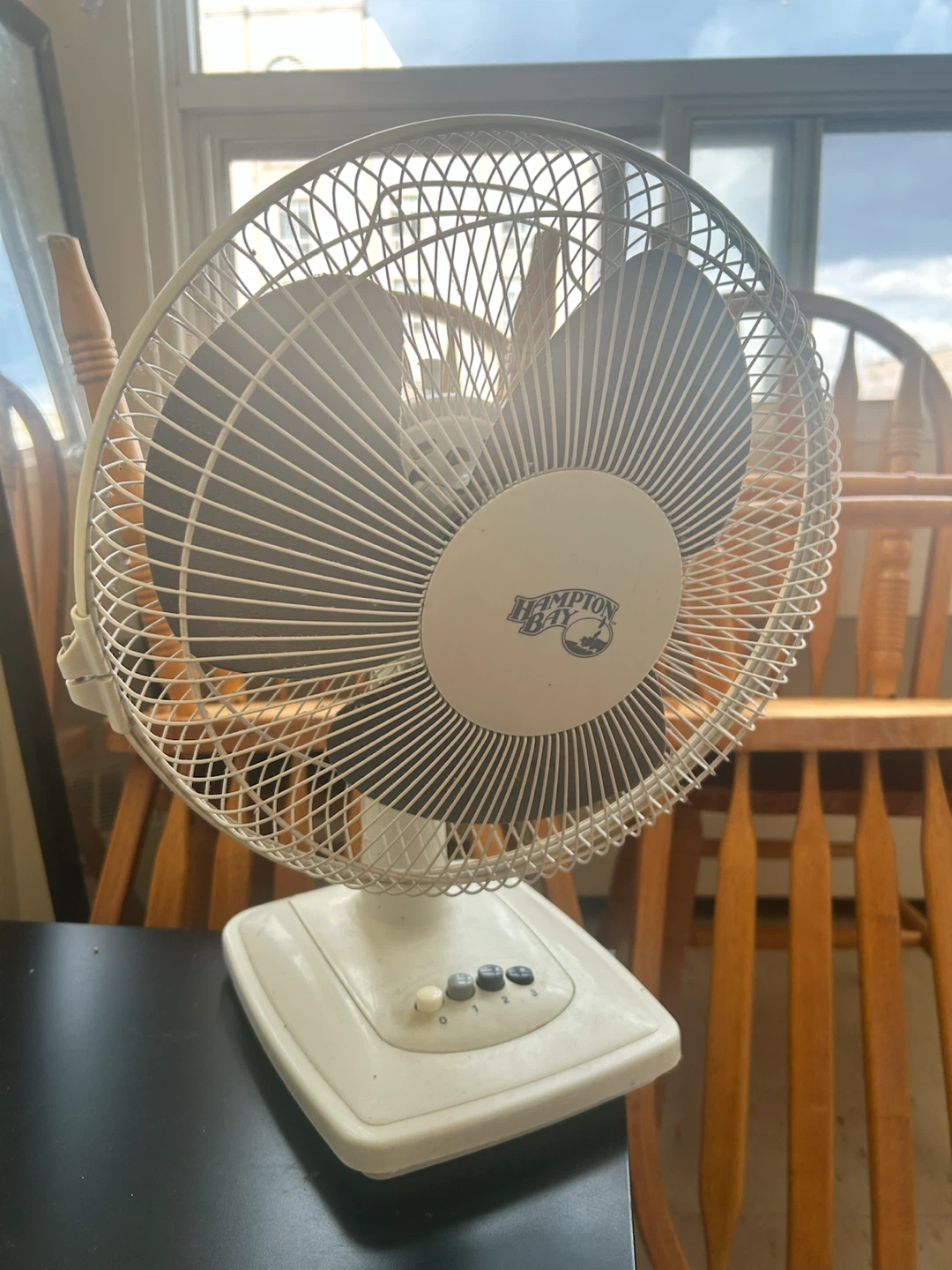 Hampton Bay Fan