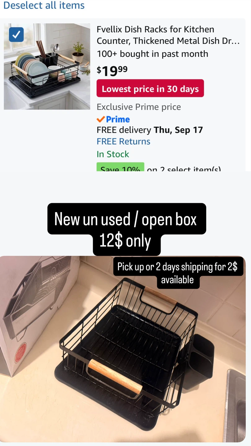 Metal Dish Drying Rack - Black