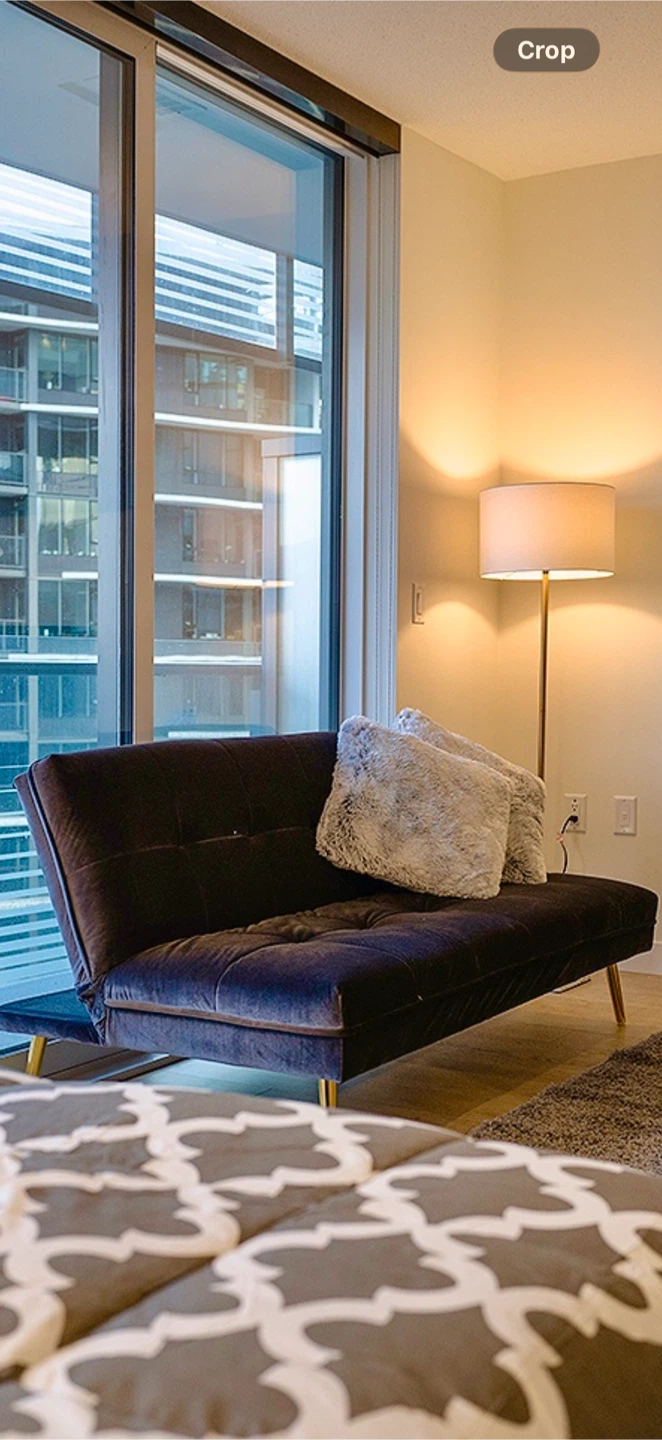 Dark Grey Velvet Futon Sofa - photo 2