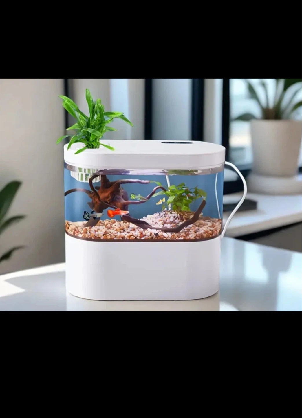 Desktop Small Fish Tank TK-01