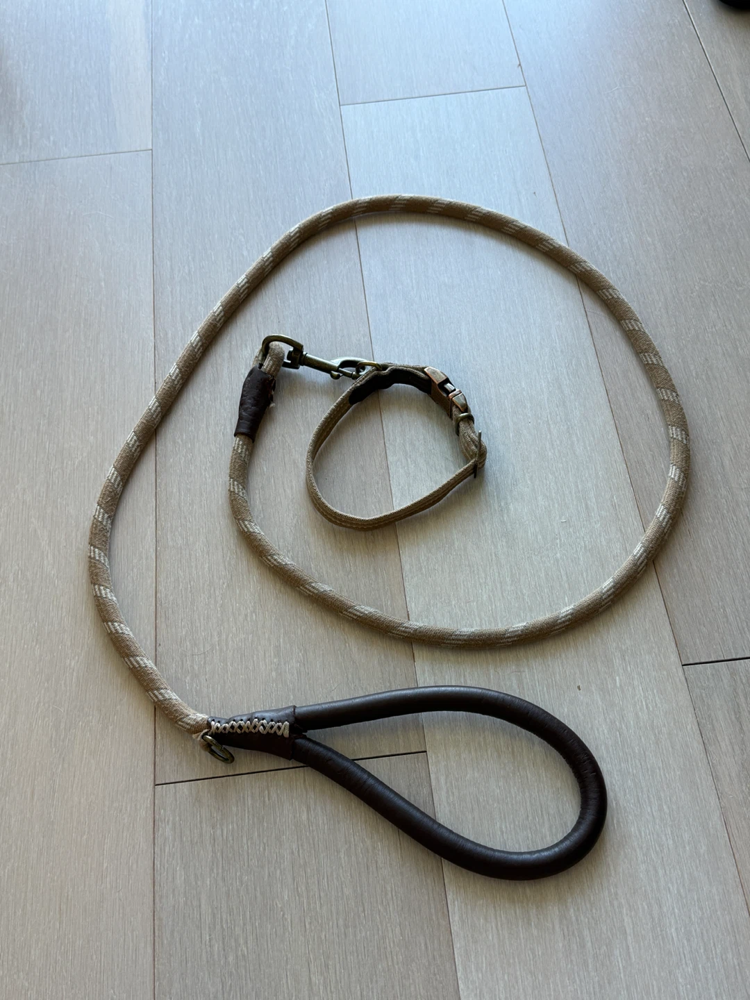 Dog Leash and Collar Set