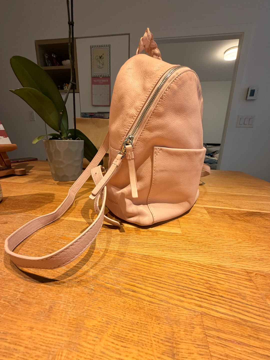 Carpisa pink mini backpack - photo 2
