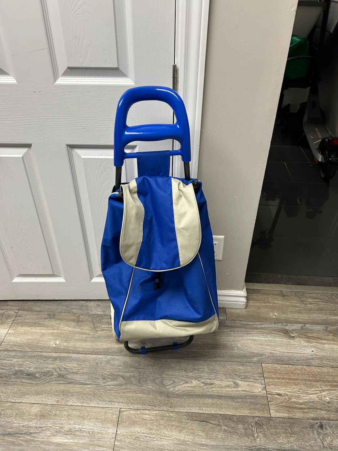 Blue and beige folding shopping trolley