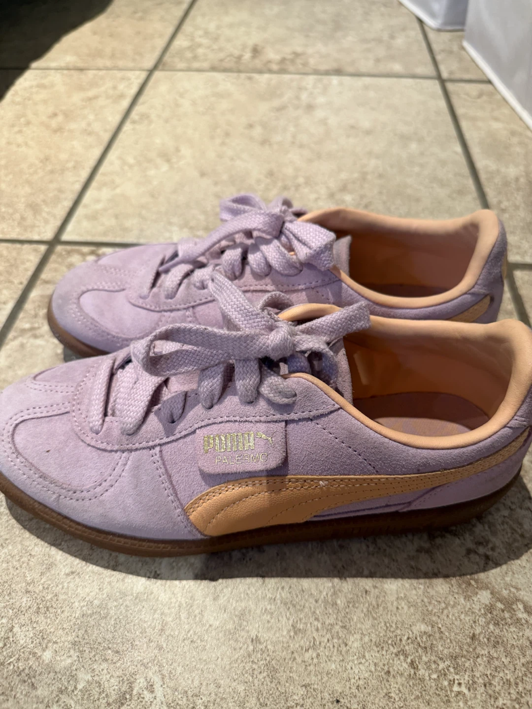 Puma Palermo Suede Sneakers