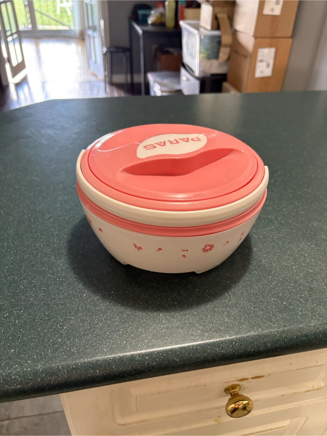 Paras Insulated Food Container