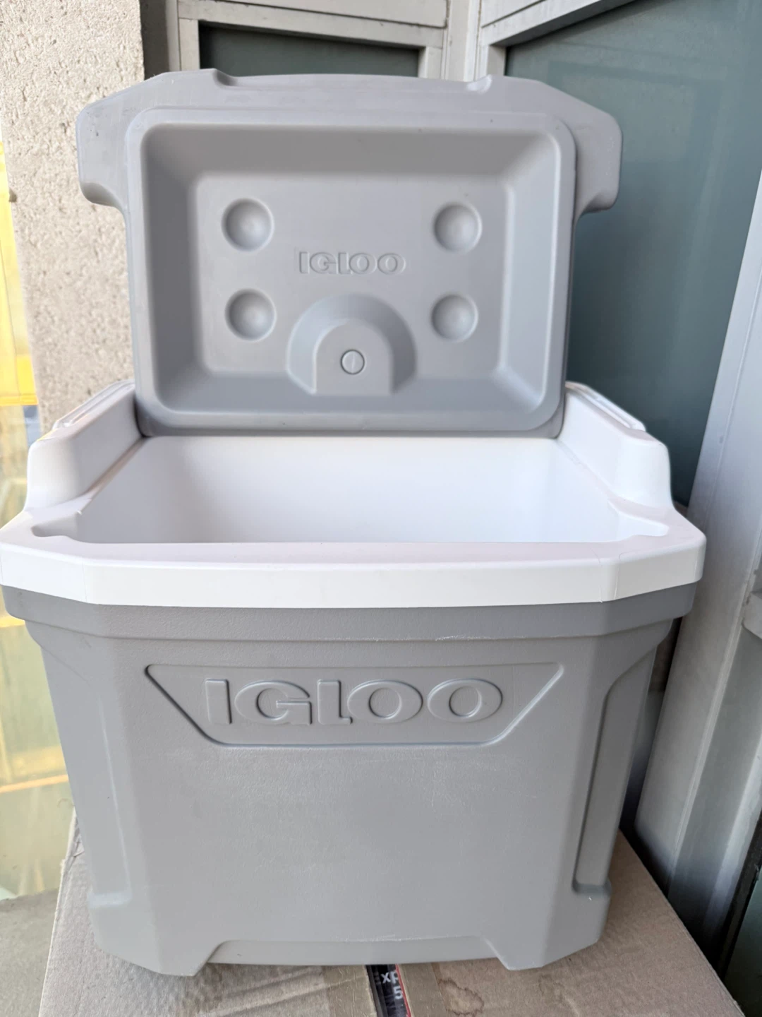 Igloo Cooler with Ice Packs