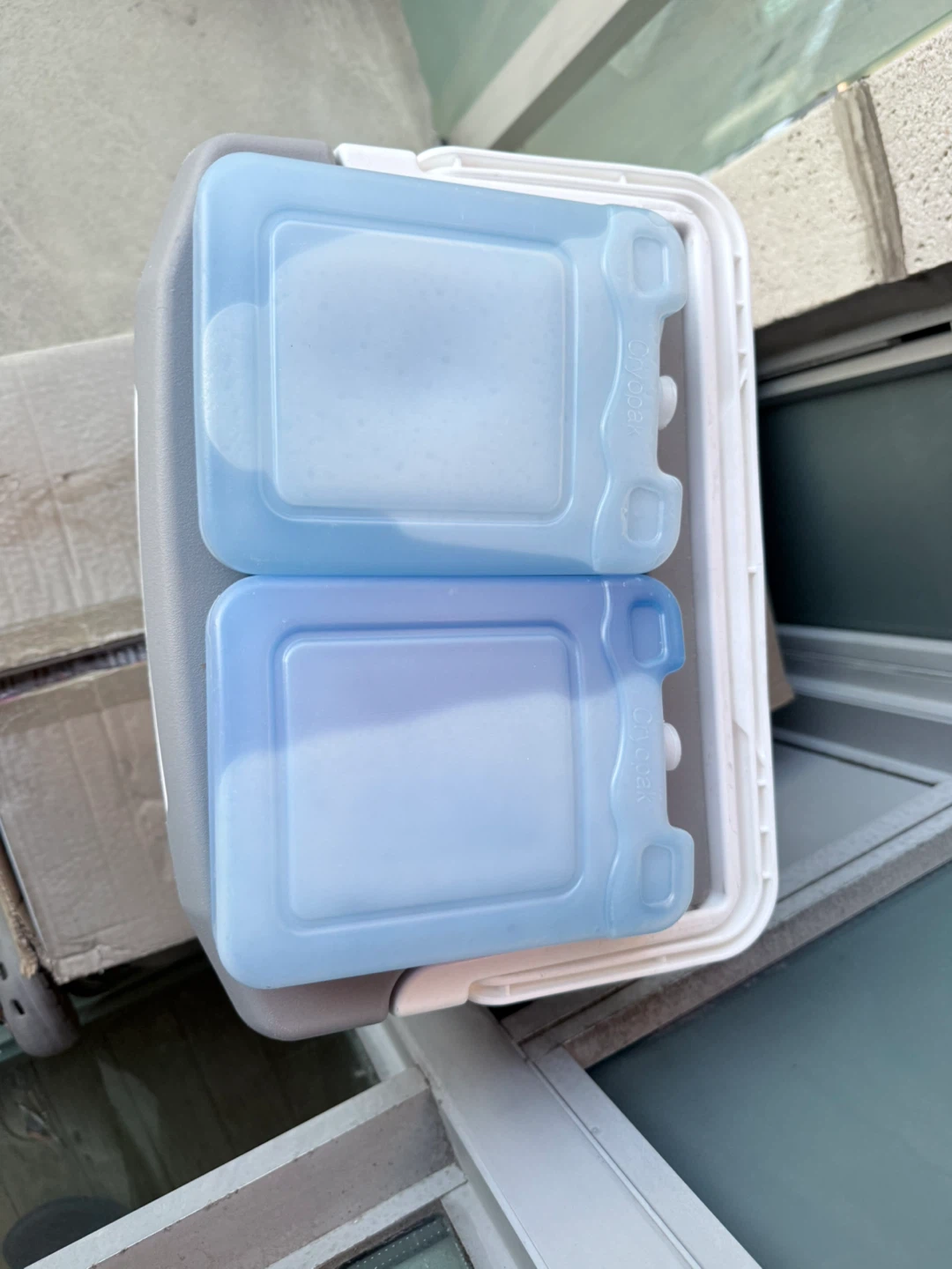 Igloo Cooler with Ice Packs - photo 3