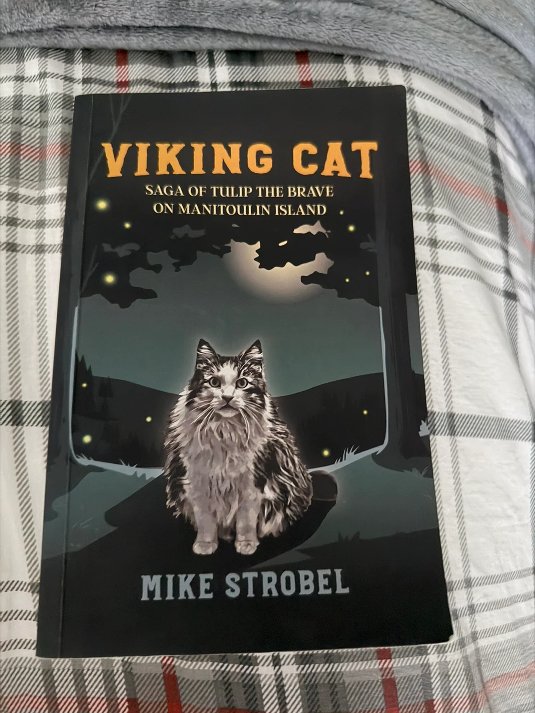 Viking Cat by Mike Strobel