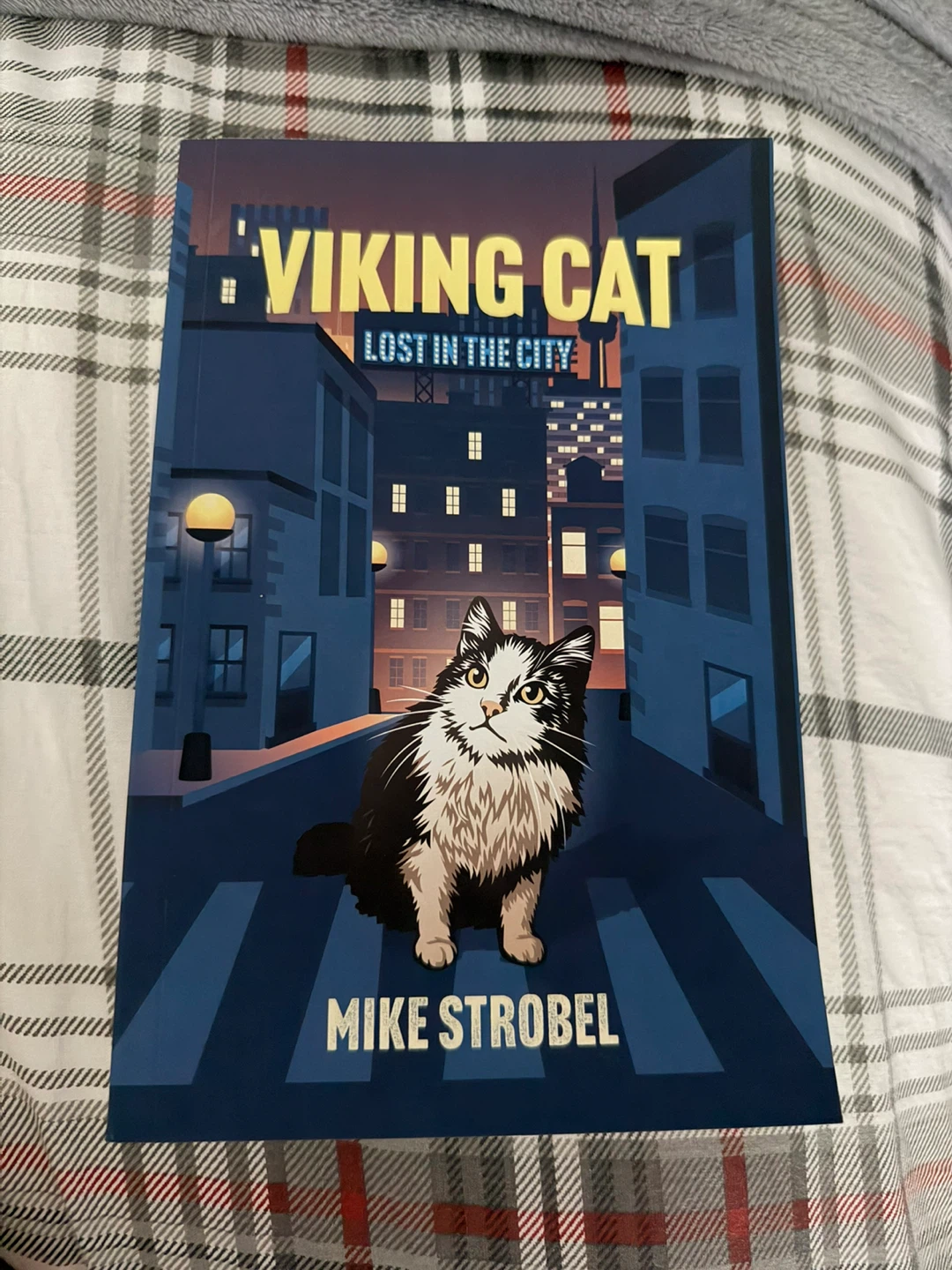 Viking Cat: Lost in the City by Mike Strobel