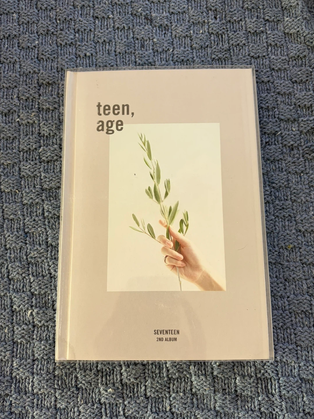 SEVENTEEN Teen, Age Album