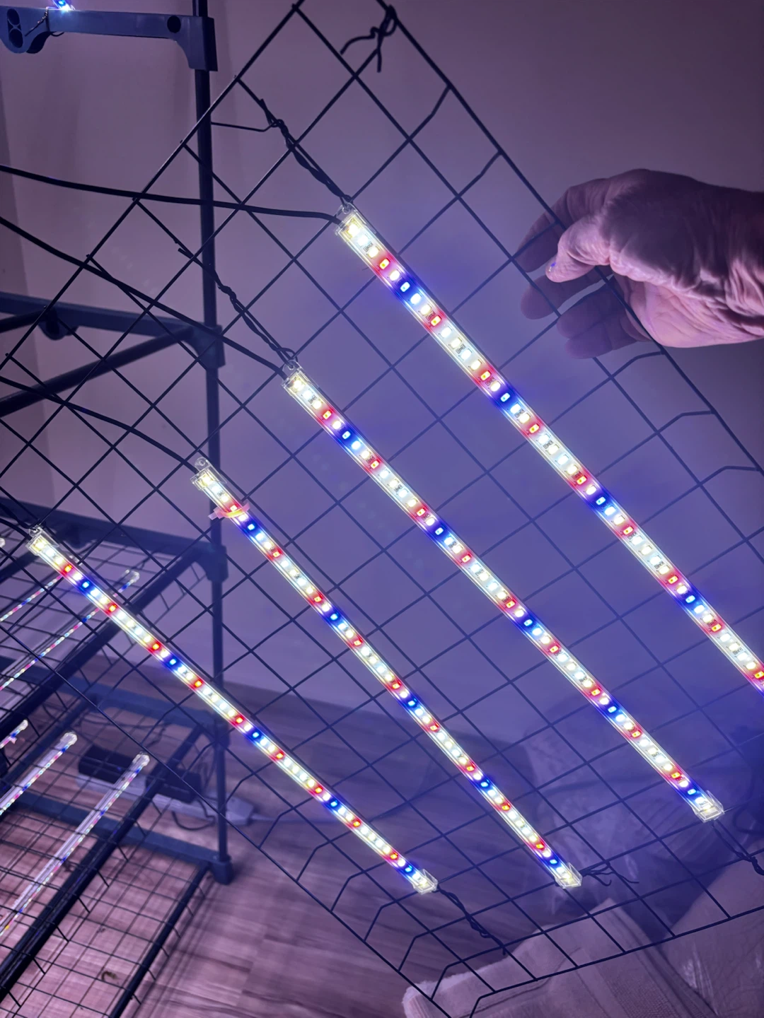 Indoor Grow Greenhouse with LED Lights - photo 4