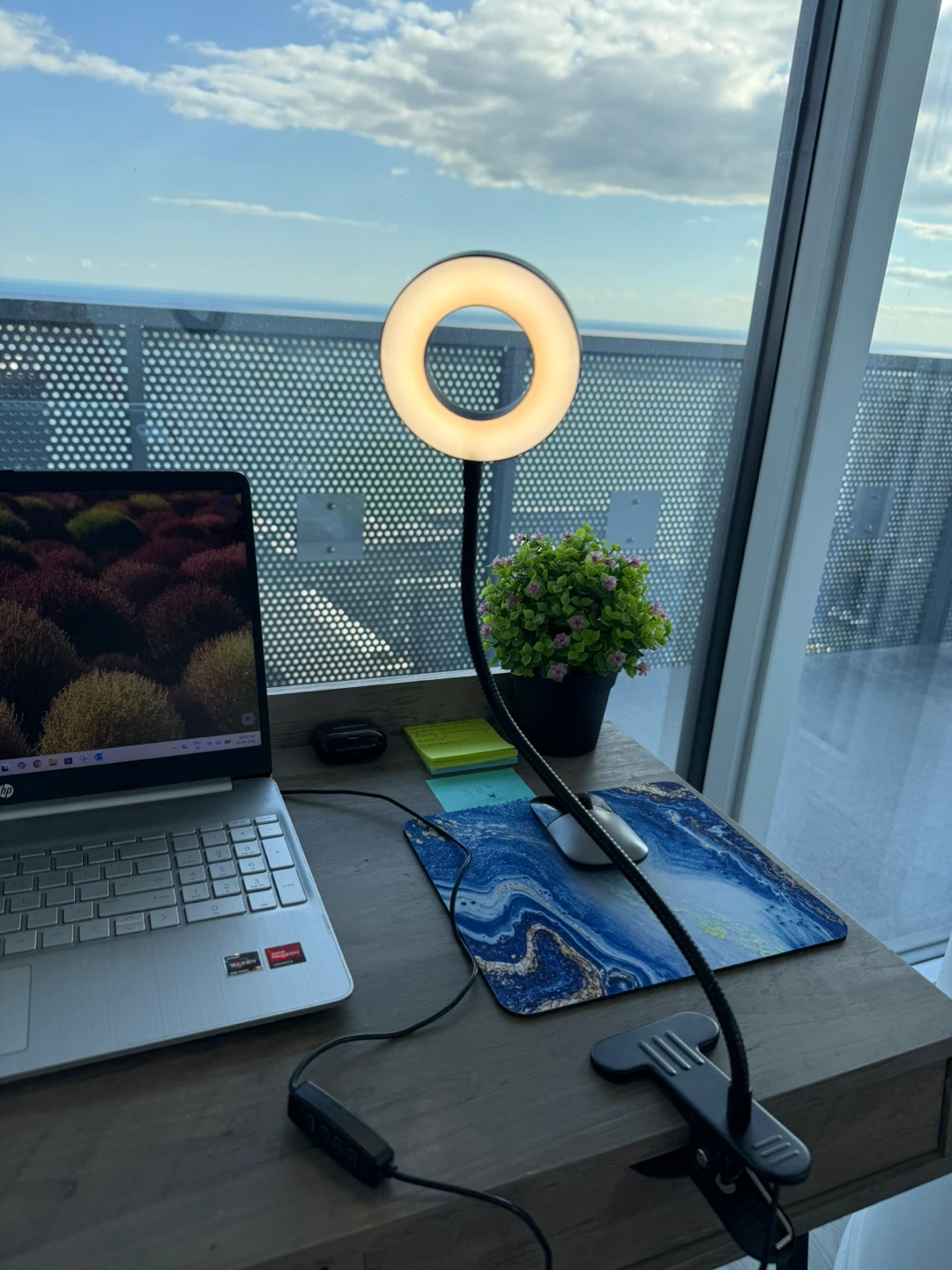 Clip on Ring Light with flexible head