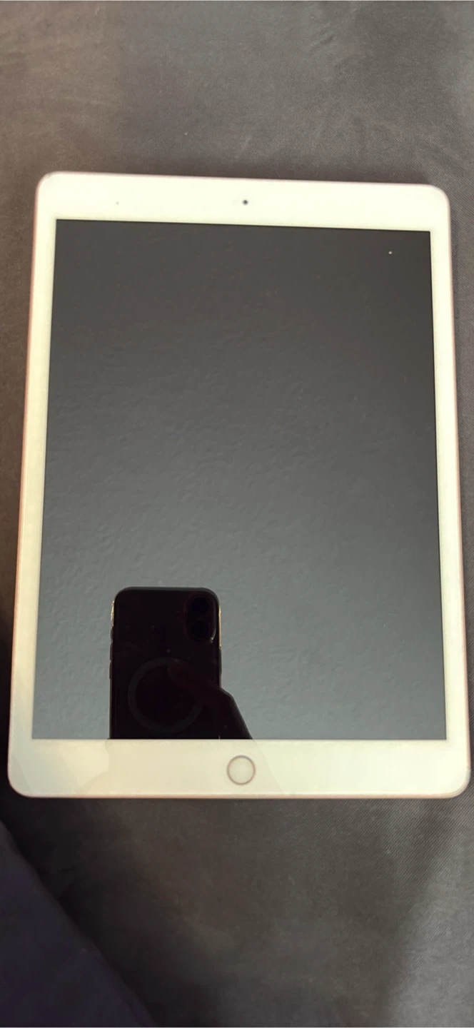Apple iPad rose Gold A2197