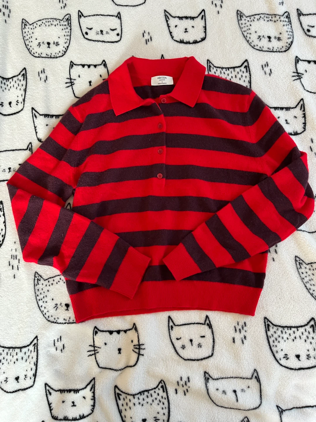 Aritzia 100% Cashmere Sweater
