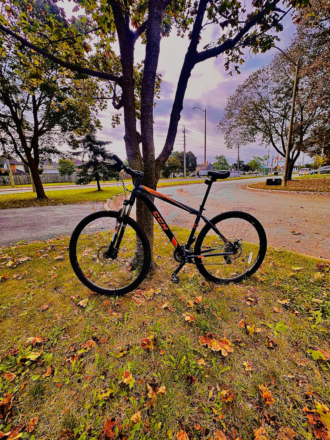 CCM 29er Mountain Bike