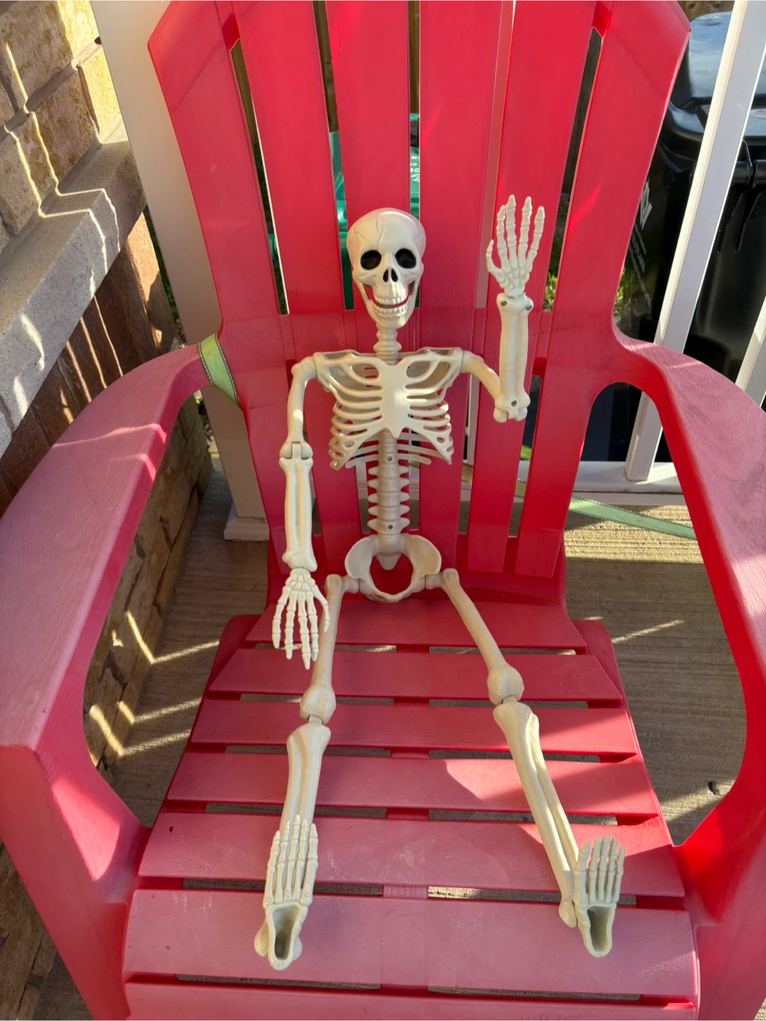 Posable Halloween Skeleton Decoration
