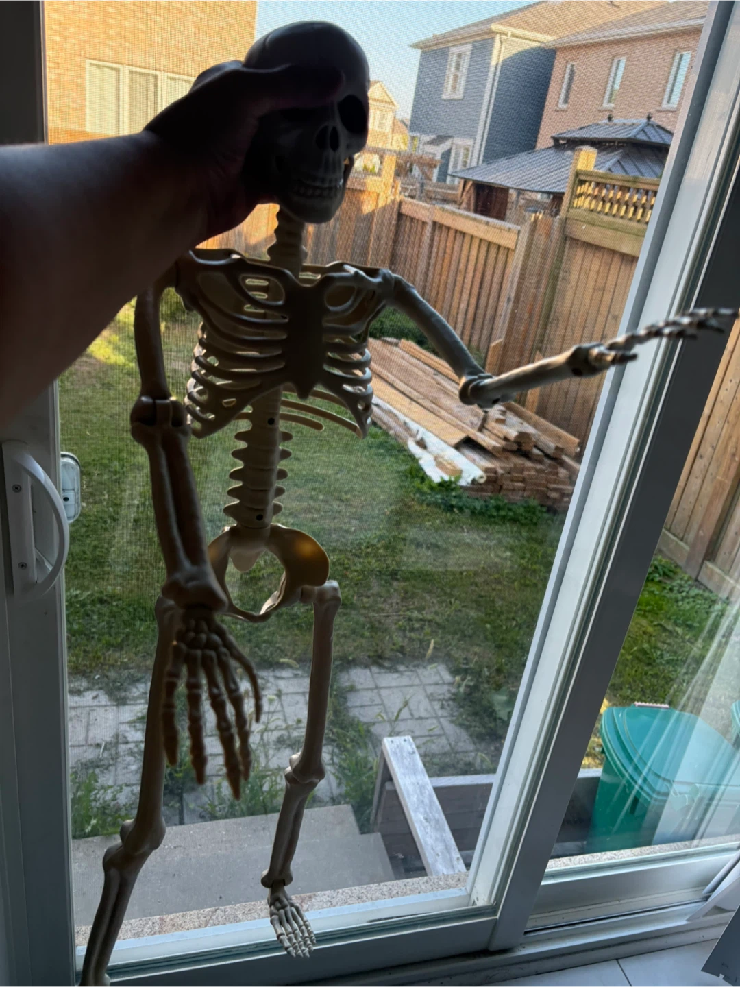 Posable Halloween Skeleton Decoration - photo 3