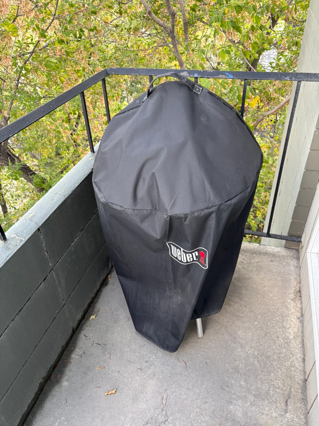 Weber Charcoal Kettle Grill - photo 3
