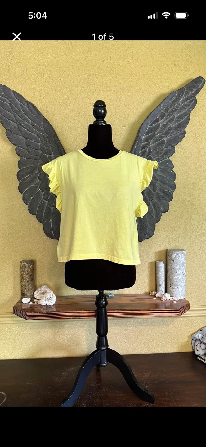 Zara Crop Top With Ruffled Sleeves