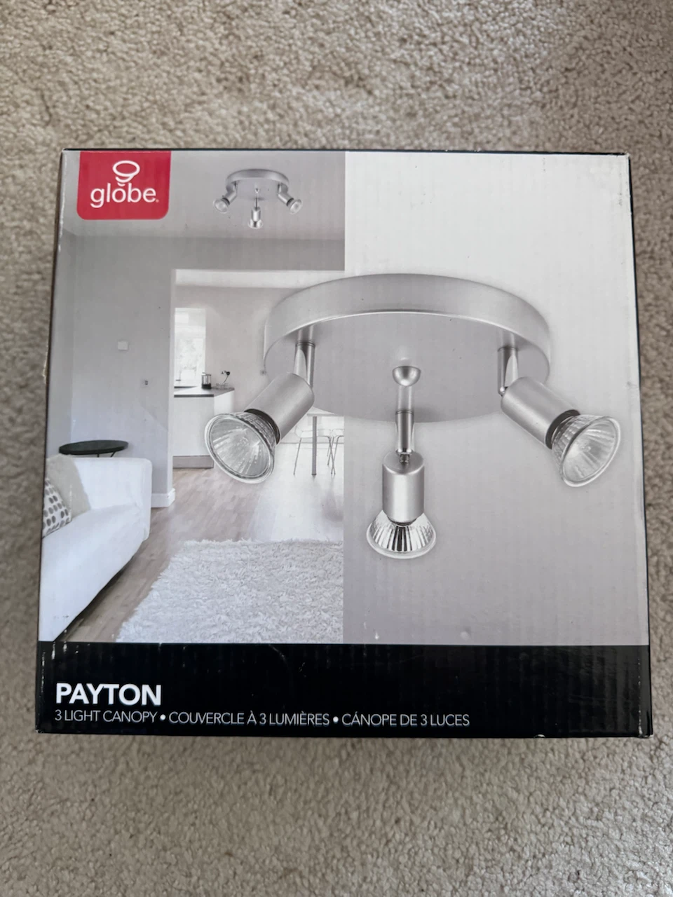 Brand new Globe Electric Payton 3-Light Canopy