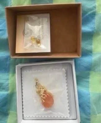 Amber earrings & Amber necklace (New) (Both together for $5)