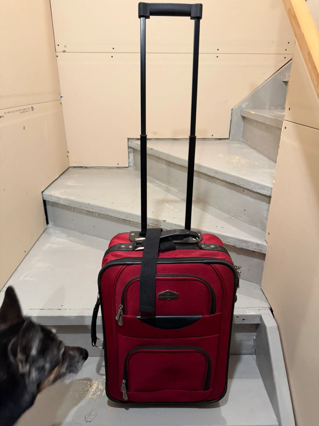 Carry-on suitcase-Cambridge by Travelway - photo 3