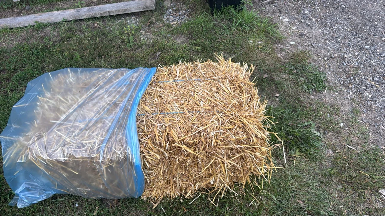 Square Bale of Straw