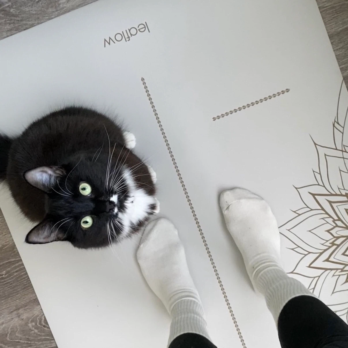 Leaflow Yoga Mat - photo 2