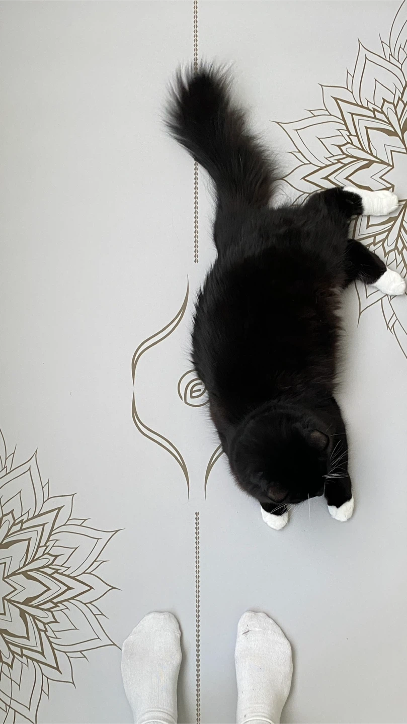 Leaflow Yoga Mat - photo 3