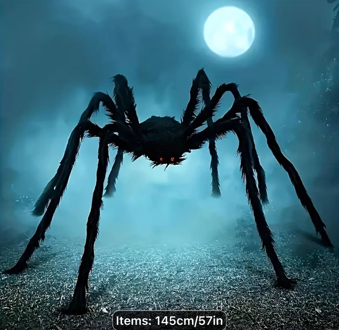 Giant 57” Black Halloween Spider Decoration