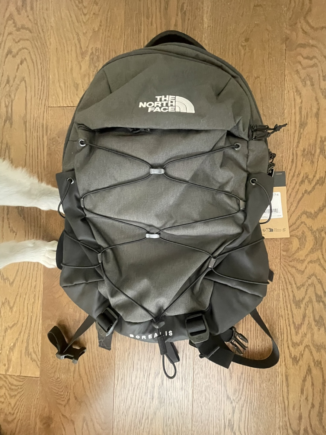 The North Face Borealis Backpack