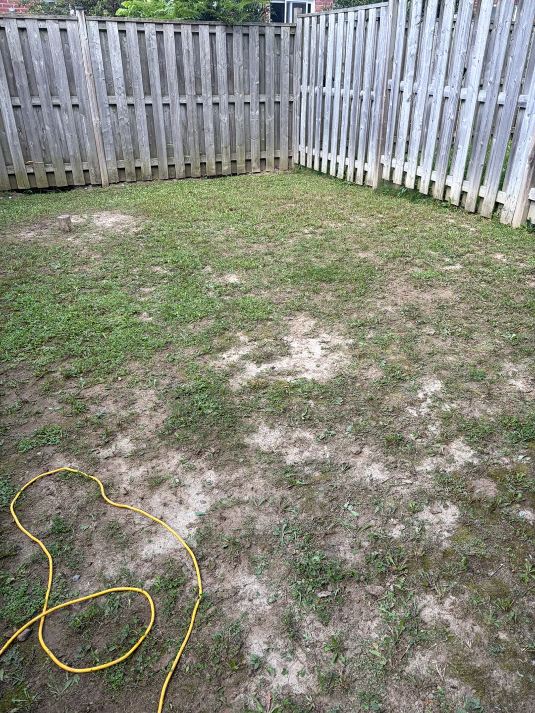 Greenworks Lawn Motor w/Cover - photo 3