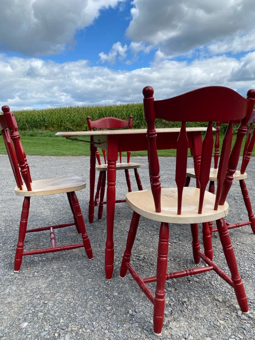 Vintage Solid Wood Drop-Leaf Dining Set (CAN DELIVER) - photo 5