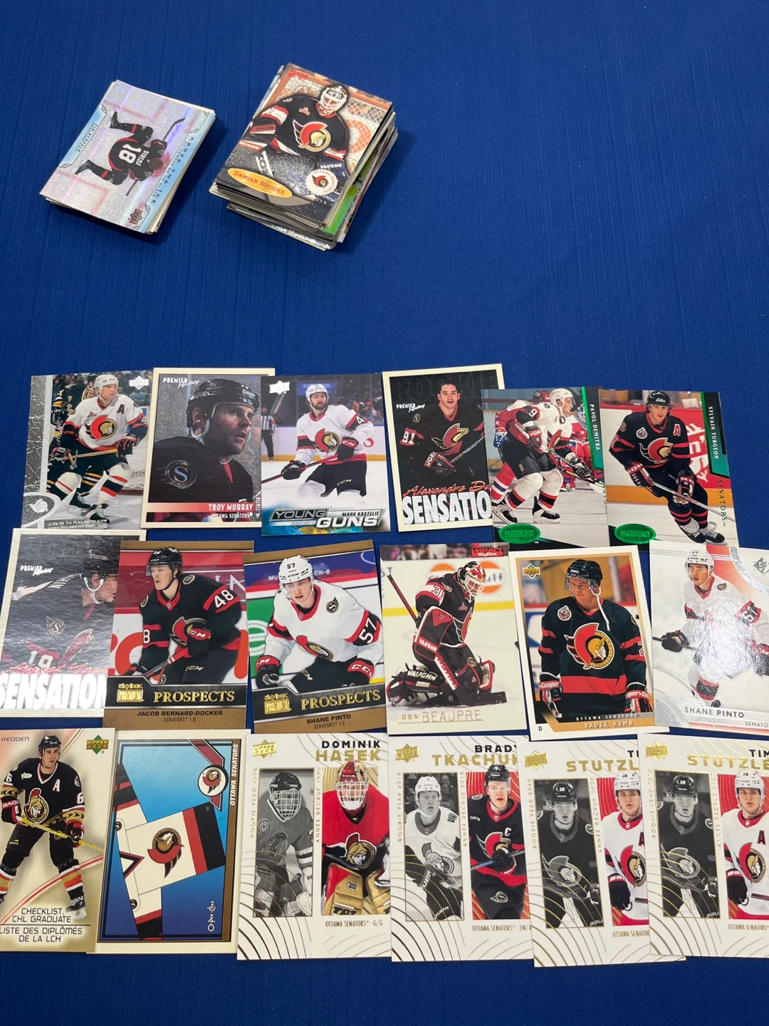 Ottawa Senators Hockey Cards Bulk Lot - Modern & Vintage - photo 5