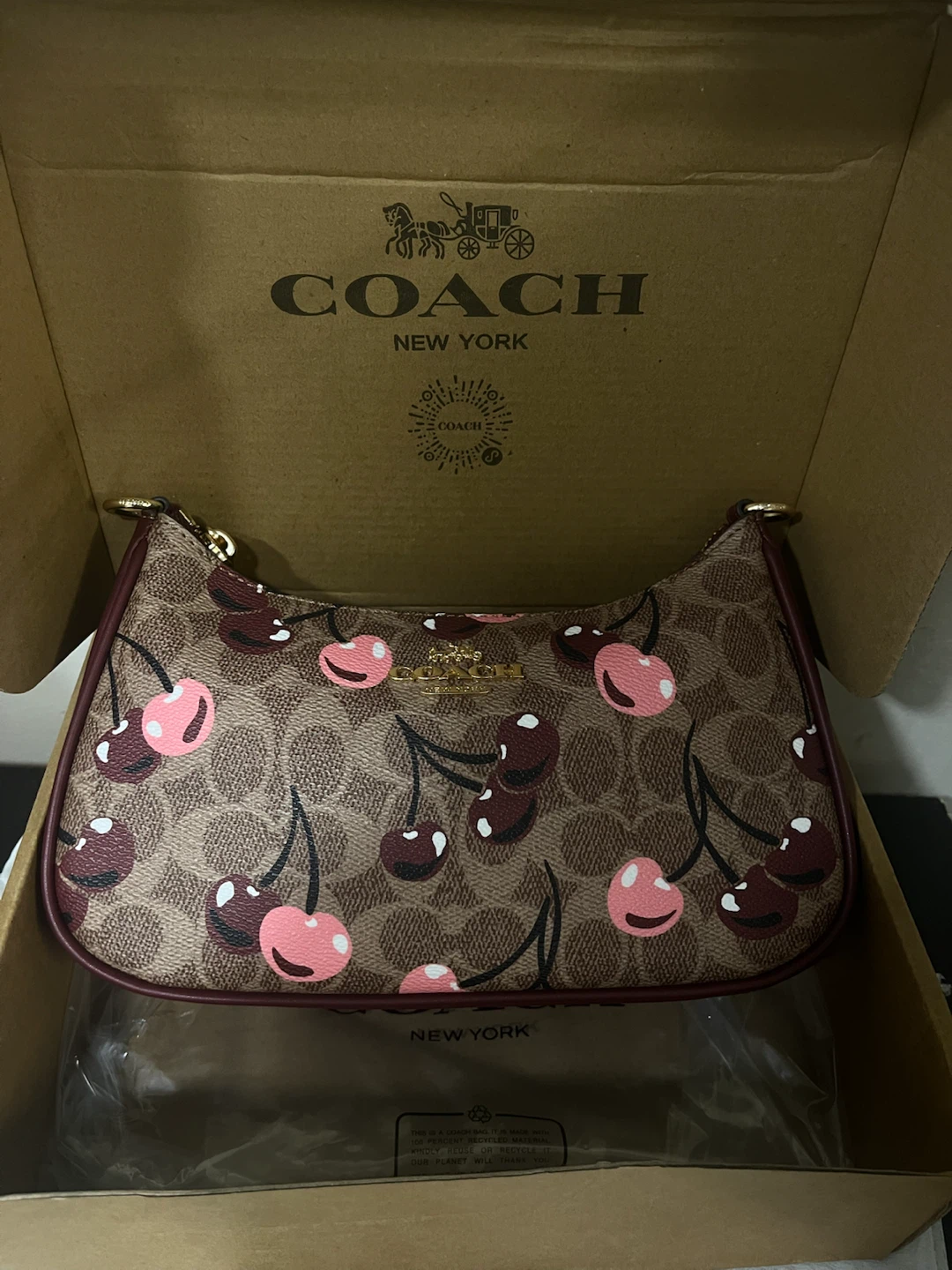 Coach Cherry Print Bag