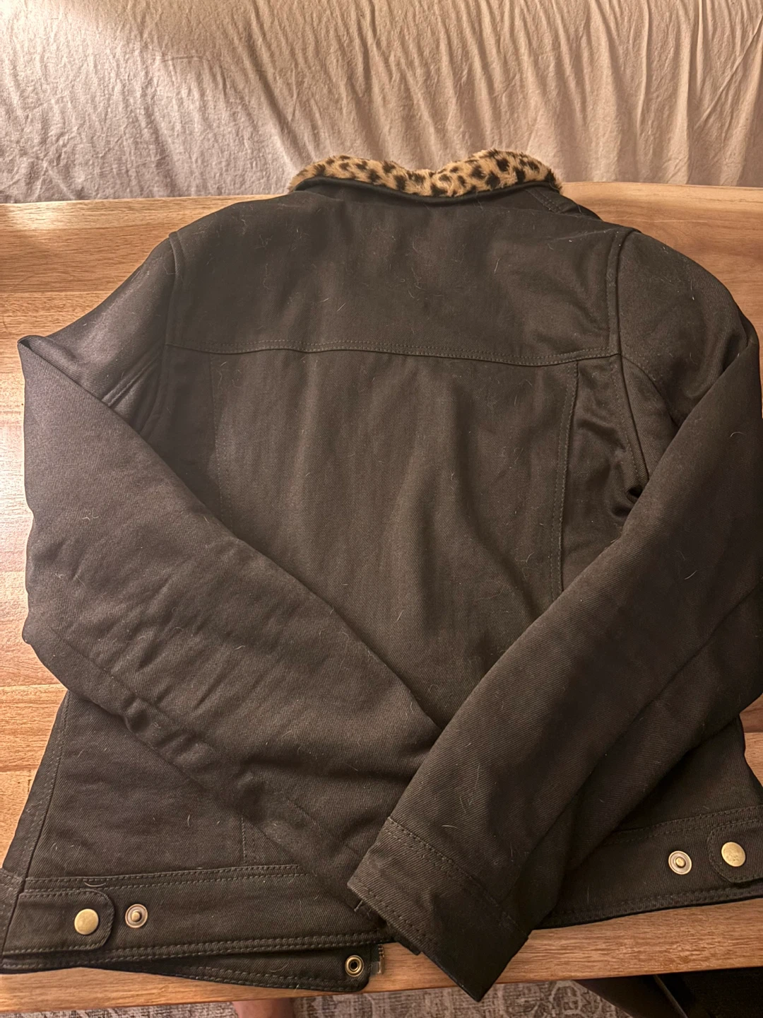 Blackbird Motorcycle Wear Kevlar Jacket - Medium - photo 4