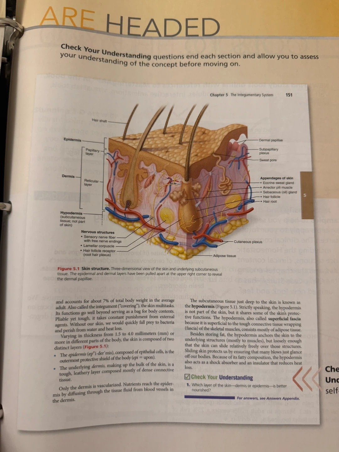 Anatomy & Physiology 6th Ed. Books à la Carte Edition - photo 3