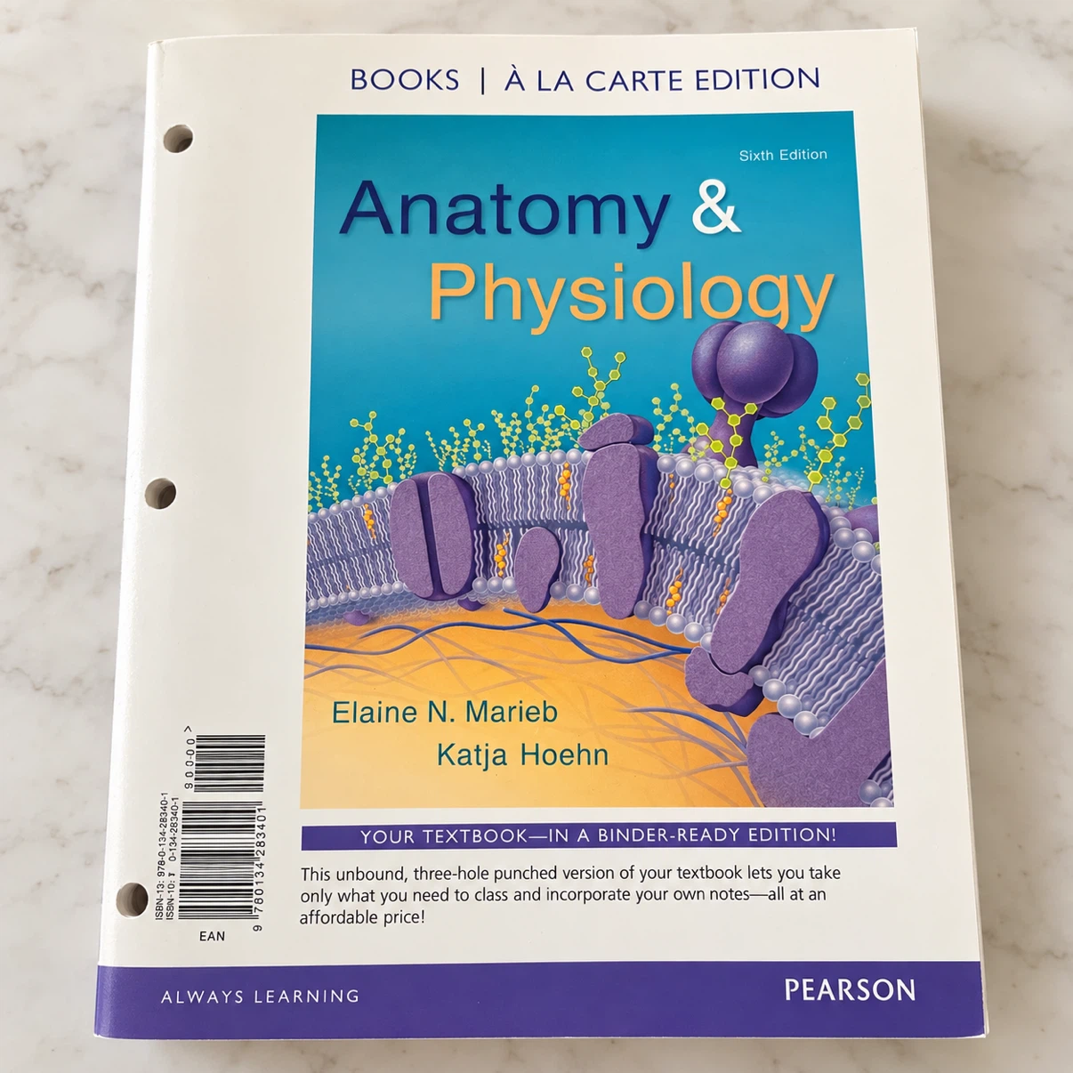 Anatomy & Physiology 6th Ed. Books à la Carte Edition