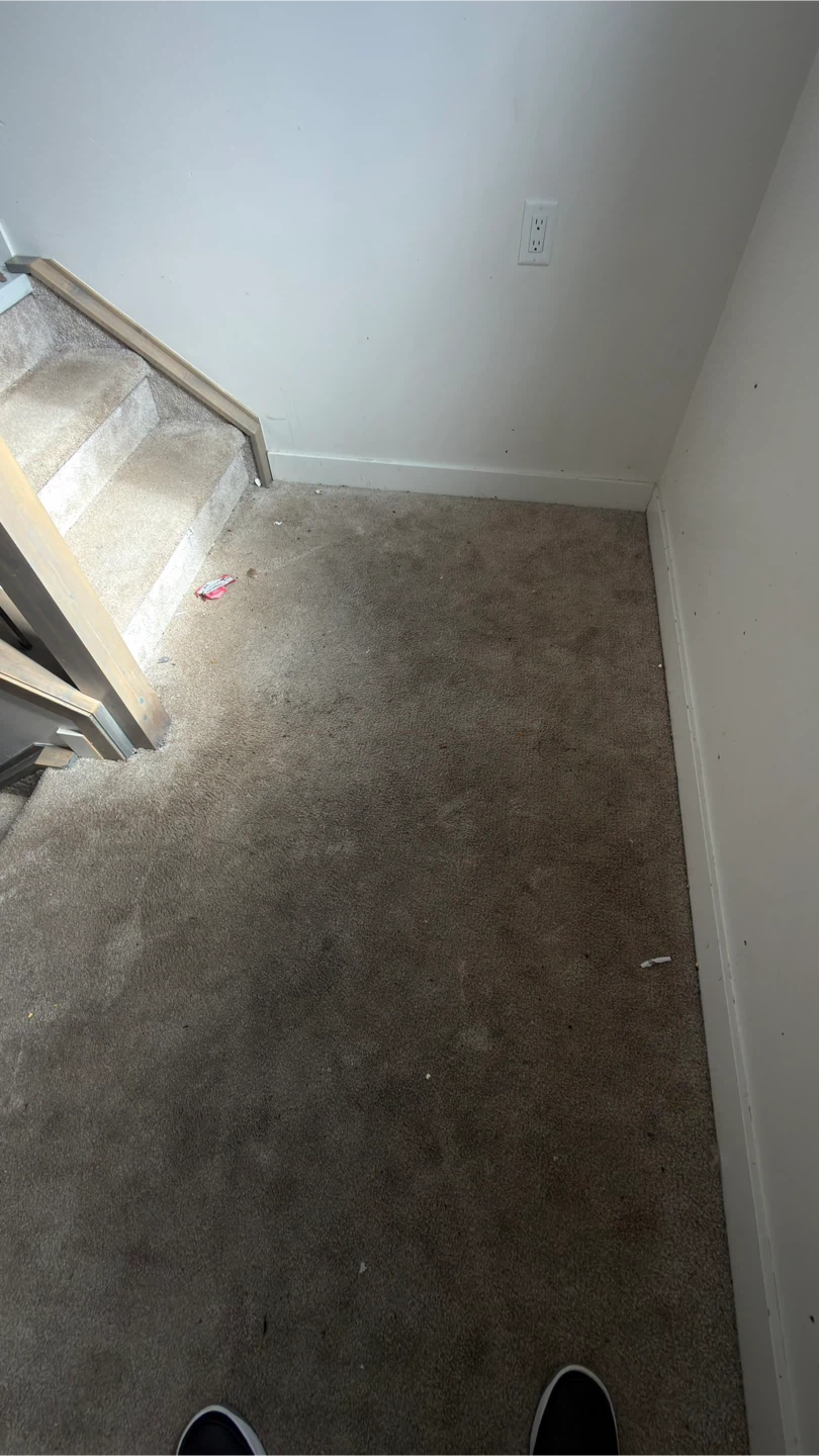 Carpet Cleaning Service - photo 3